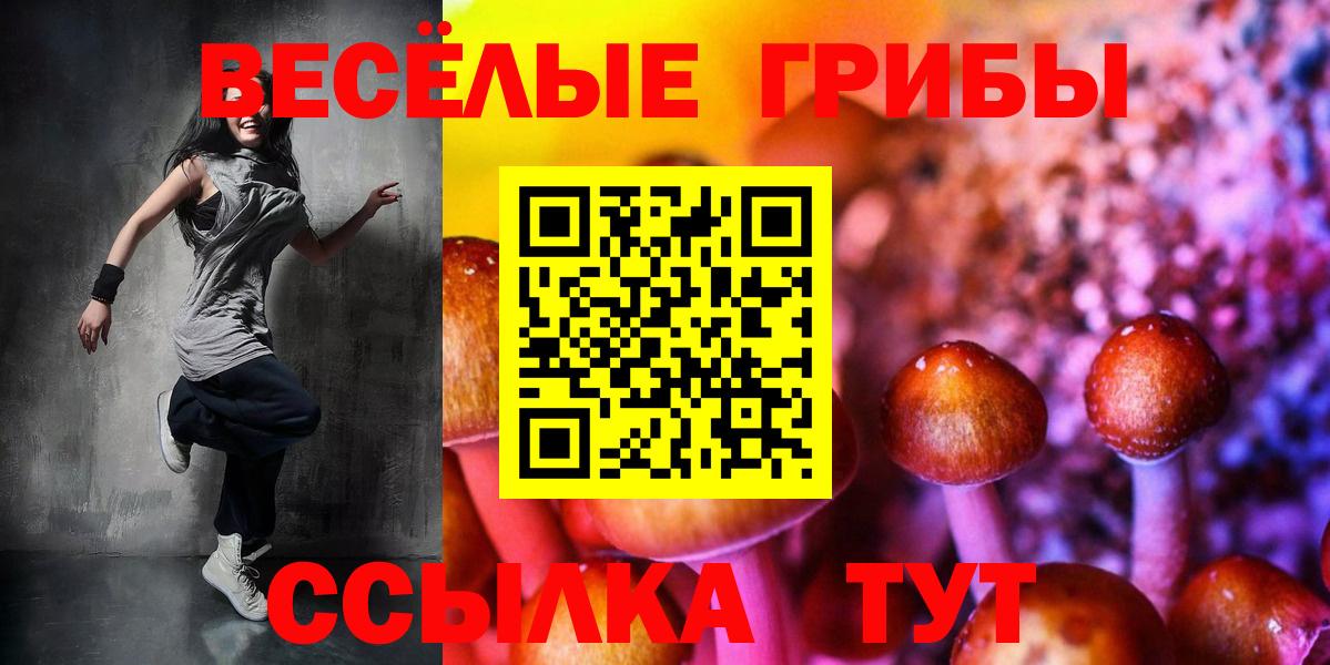 Кушва  Галлюциногенные грибы прущие грибы  Вход с VPN 