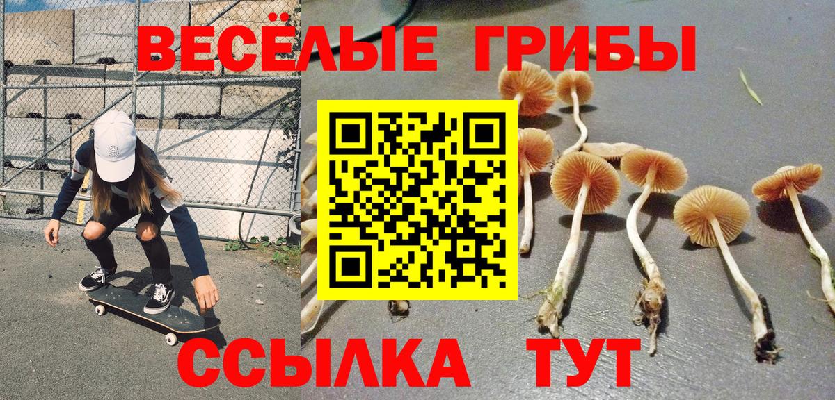 Галлюциногенные грибы GOLDEN TEACHER Кушва